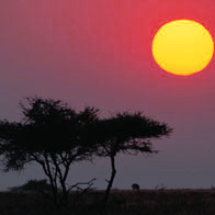 South Africa Tours
